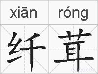 纤茸的拼音