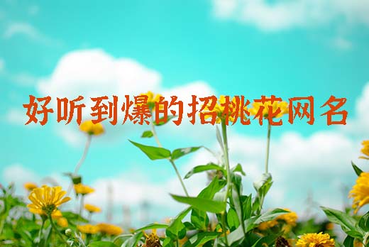 好听到爆的招桃花网名
