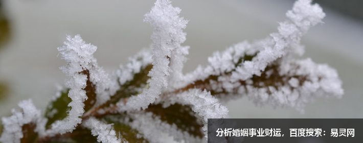 女生简单忧郁气质的微信昵称