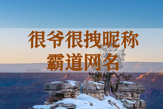 很爷很拽昵称，霸道网名