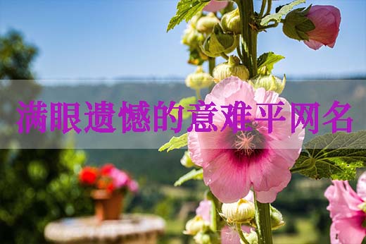 满眼遗憾的意难平网名