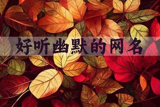 好听幽默的网名