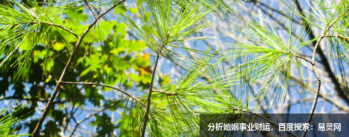 有志气有骨气的网名