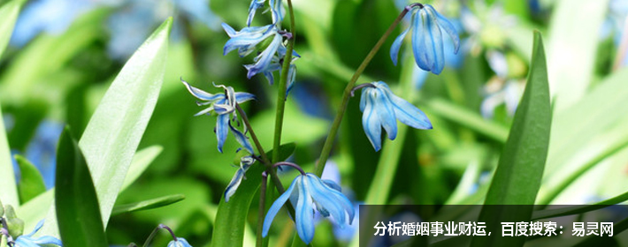 直接破防的微信网名（让人沦陷）
