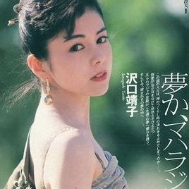泽口靖子照片