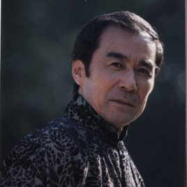 杨树林照片