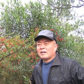 尼格木图照片