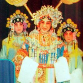新谷莺照片