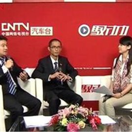黄鹤照片