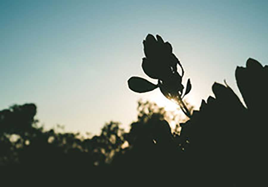 张曼迪照片