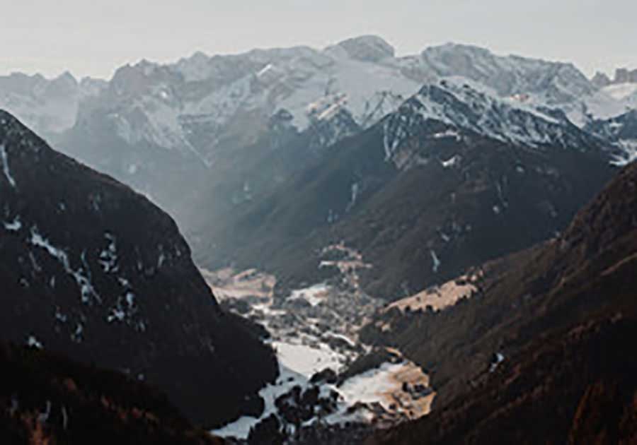 曾向阳照片