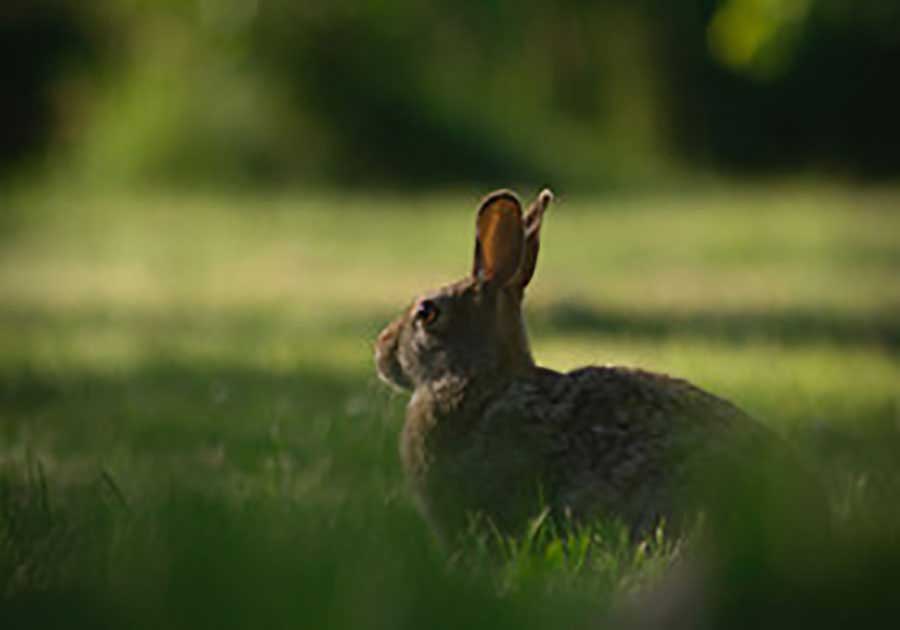 王帆扬照片