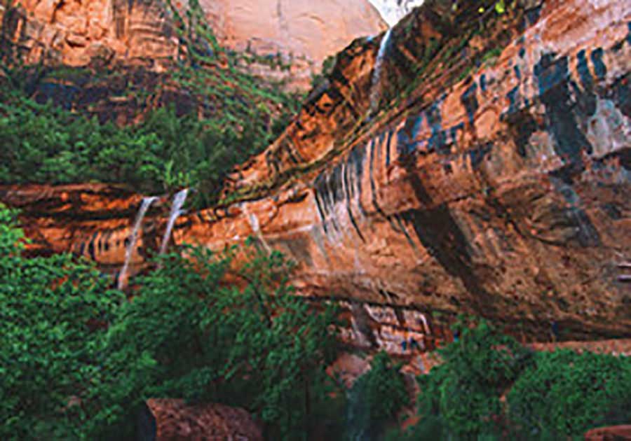 刘伯承照片