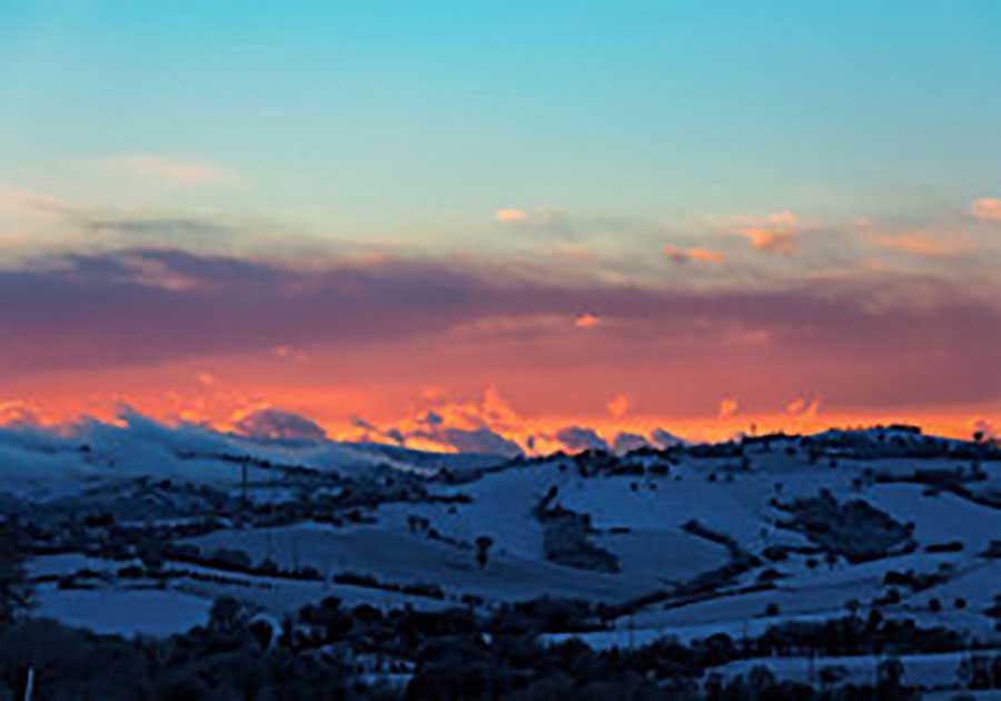 苏睿照片