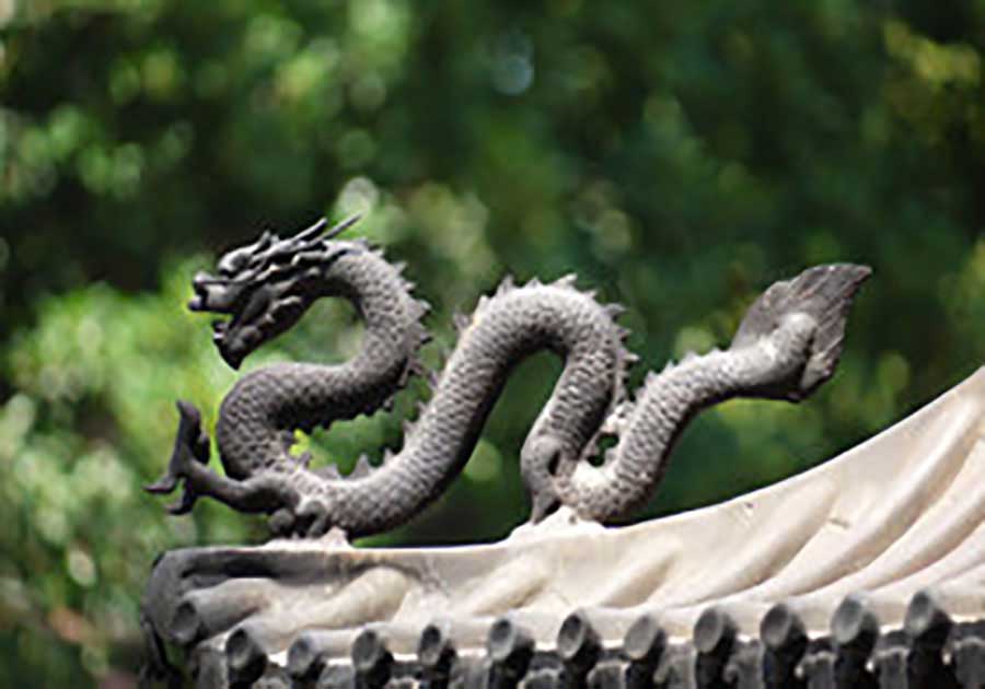 陈钦照片
