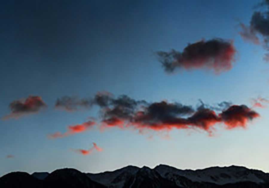 张秋萍照片