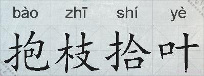 抱枝拾叶的拼音
