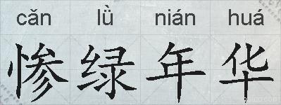 惨绿年华的拼音