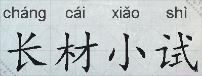 长材小试的拼音