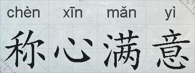 称心满意的拼音