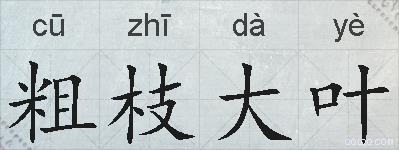 粗枝大叶的拼音