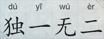 独一无二的拼音