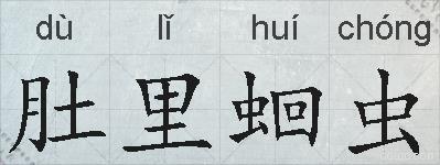 肚里蛔虫的拼音