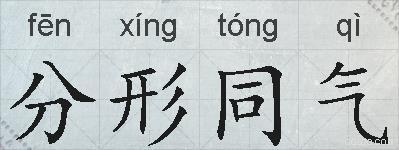分形同气的拼音