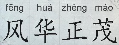 风华正茂的拼音