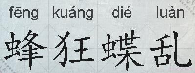 蜂狂蝶乱的拼音