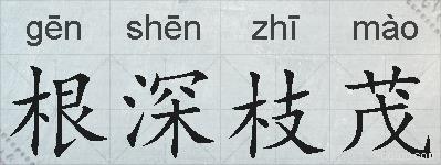 根深枝茂的拼音