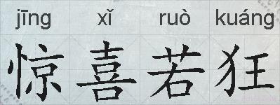 惊喜若狂的拼音