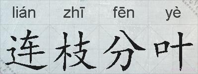 连枝分叶的拼音