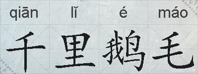 千里鹅毛的拼音