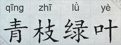 青枝绿叶的拼音