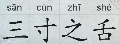 三寸之舌的拼音