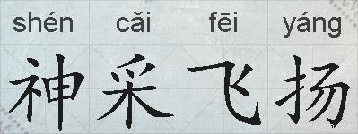 神采飞扬的拼音