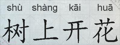 树上开花的拼音