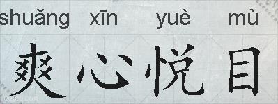 爽心悦目的拼音
