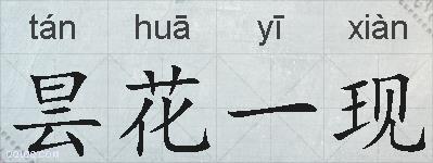 昙花一现的意思 反义词 近义词 昙花一现成语接龙 昙花一现的意思 反义词 近义词 昙花一现成语接龙