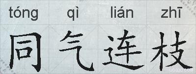 同气连枝的拼音