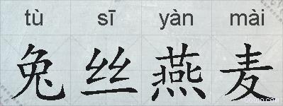 兔丝燕麦的拼音