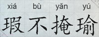 瑕不掩瑜的拼音
