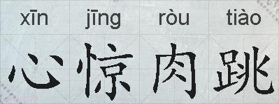 心惊肉跳的拼音
