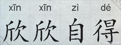 欣欣自得的拼音