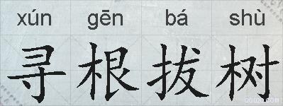 寻根拔树的拼音
