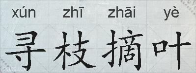 寻枝摘叶的拼音