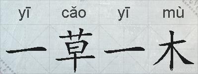 一草一木的意思 反义词 近义词 一草一木成语接龙 一草一木的意思 反义词 近义词 一草一木成语接龙