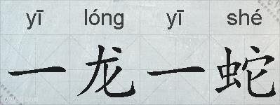 一龙一蛇的拼音