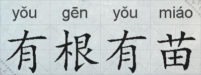 有根有苗的拼音